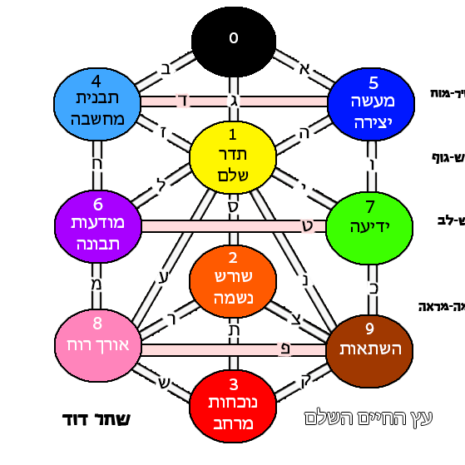 עץ החיים השלם שחר דוד